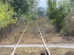 Pikulice 2009:09:27 14:13:48