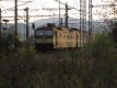 Plave�  2009:09:28 17:14:47