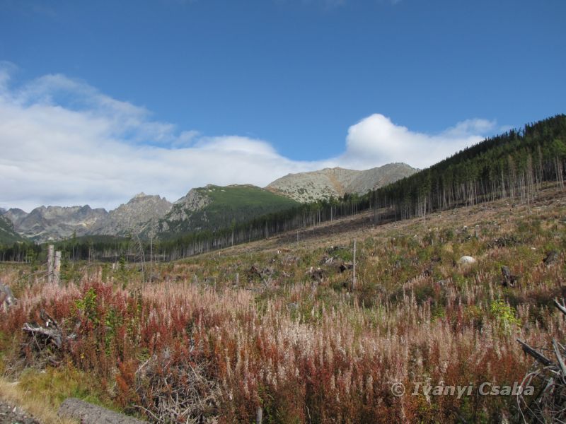 Popradske Pleso