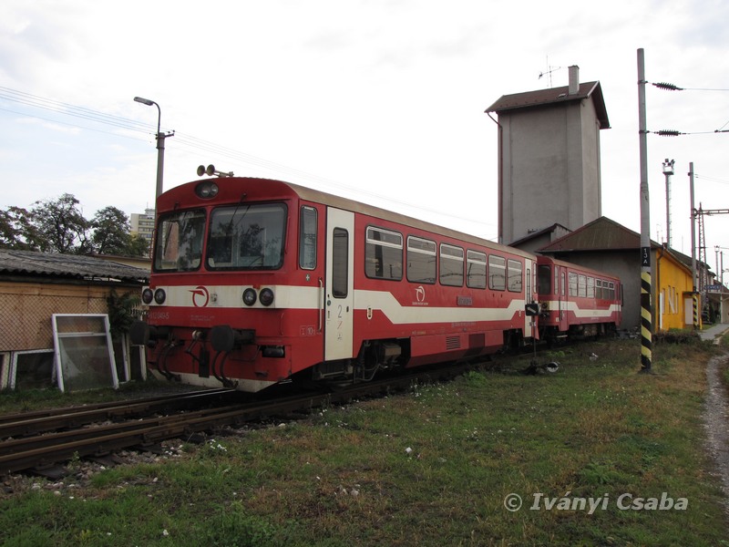 Levice