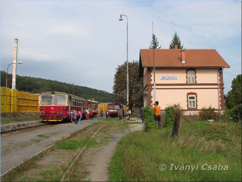 Brezni�ka