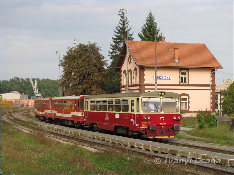 Brezni�ka