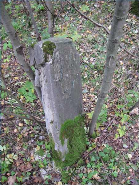 Ogorzelec
