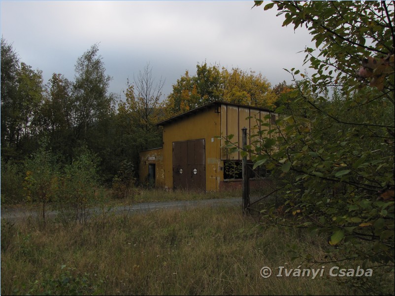 Ogorzelec
