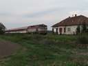 Gyorvonat �rkezik