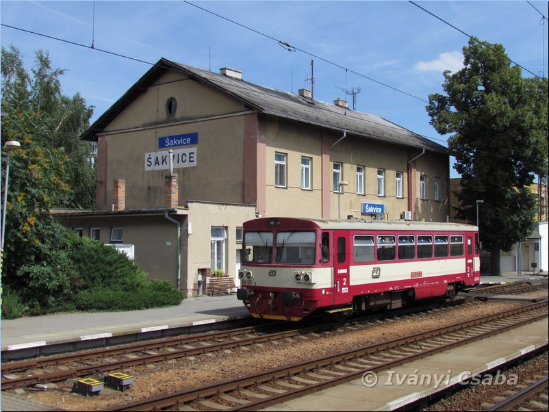 �akvice