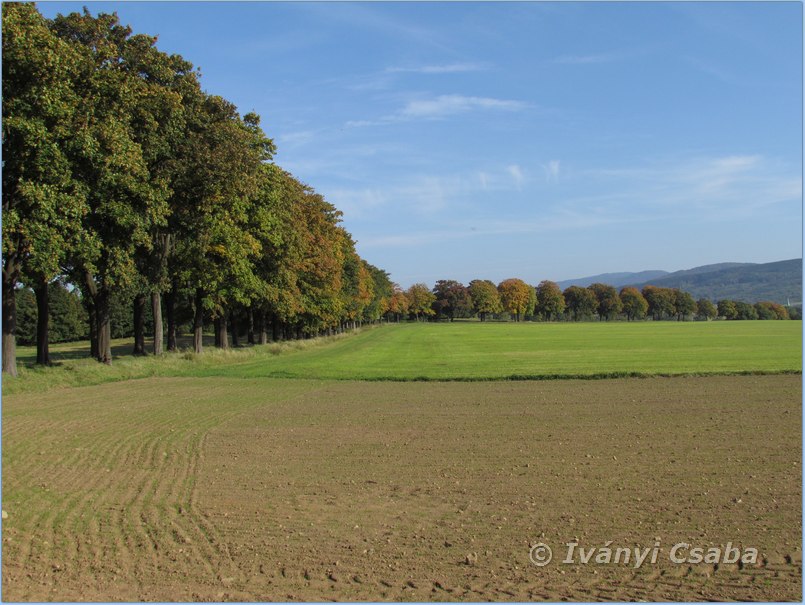 Kunratice