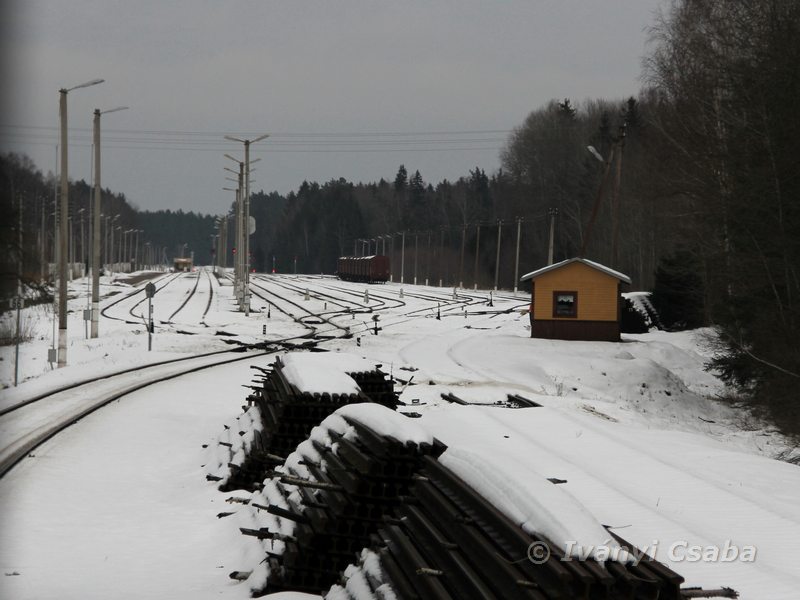 Mockava