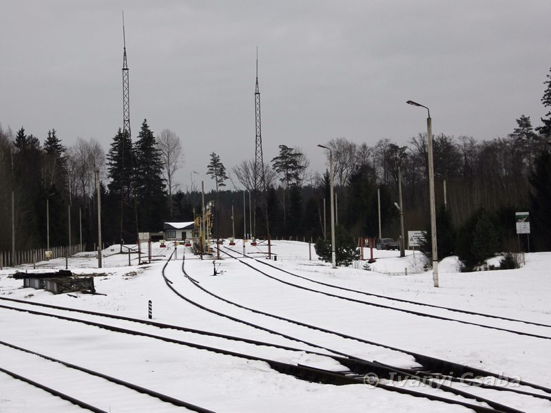 Mockava