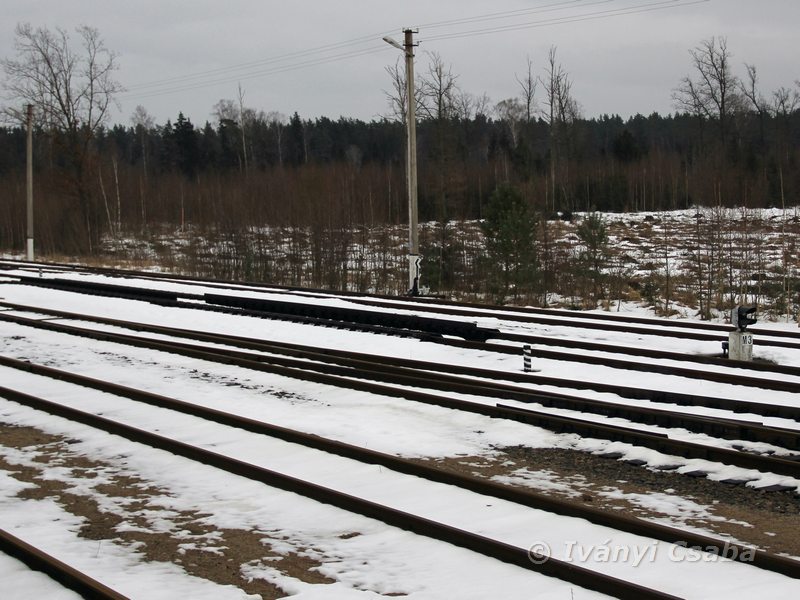 Mockava