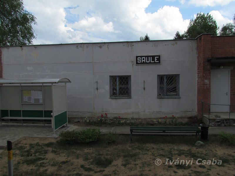 Saule