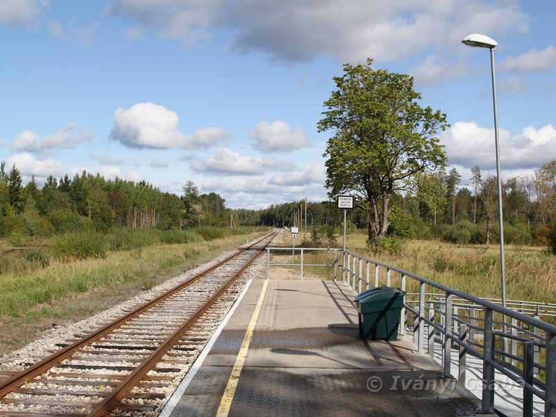 Viluvere